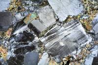 Métagabbro à hornblende LPA x3,5